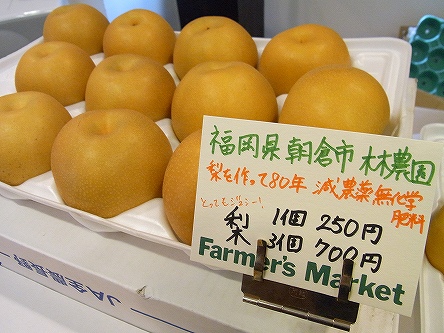 RIMG0014